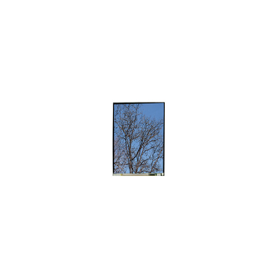 Bon prix 5.5 pouces LS055T1SX29 1080*1920 FHD écran LCD en ligne