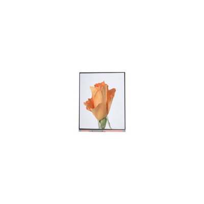Bon prix 720*1280 C052SWA2-1 Affichage LCD de 5,2 pouces pour téléphone en ligne