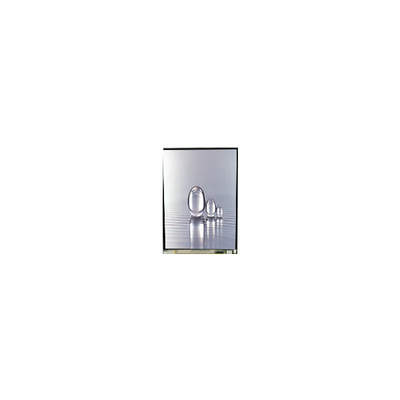 Bon prix LS038Y7DX01 écran LCD de 3,8 pouces 480*800 en ligne