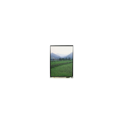 Bon prix L'affichage à écran LCD de 3,8 pouces 240*320 pour Kyocera en ligne