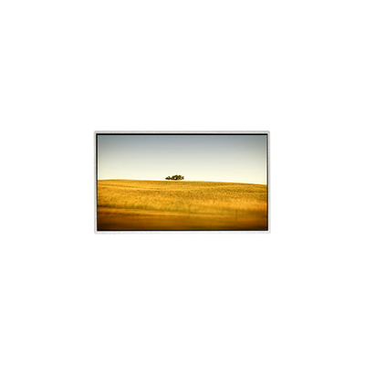 Bon prix Vente à chaud 10,1 pouces TT101WSQ-N10 1024 * 600 écran LCD pour ordinateur portable en ligne