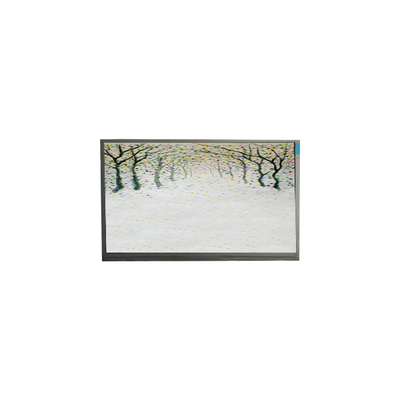 Bon prix R125NWR3 R3 module LCD de 12,5 pouces écran LCD 1366*768 en ligne