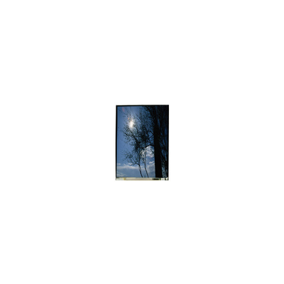Bon prix LS055T1SX09 Écran LCD TFT-LCD de 5,5 pouces 1080*1920 en ligne