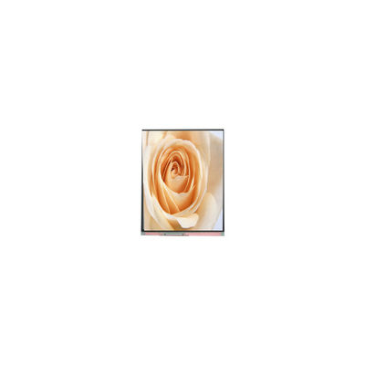 Bon prix C050SWAF-0 Panneau LCD de 5,0 pouces 720*1280 en ligne