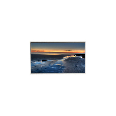 Bon prix Le tableau d'affichage de l'écran LCD TT090WSQ-N10 9,0 pouces 1024*600 en ligne
