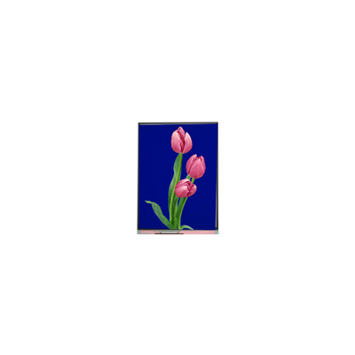 Bon prix Module LCD C055SWF4 R0 affichage LCD TFT de 5,5 pouces en ligne