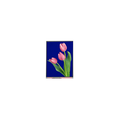 Bon prix Nouveau écran LCD de 5,4 pouces C054SWZ4-1 540*960 en ligne