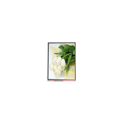 Bon prix 5.5 pouces C055SWY2 R0 Panneau LCD en ligne