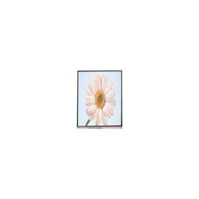 Bon prix nouveau module d'écran LCD 720*1280 C050HWA5-1 de 5,0 pouces en ligne