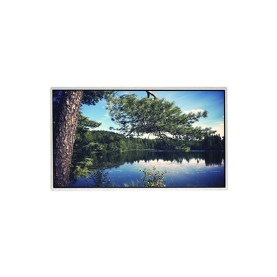 Bon prix 21.5 pouces Original HM215WU3-501 TFT écran LCD en ligne
