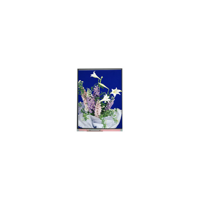 Bon prix C054SWN1 R0 tft Écran LCD Affichage LCD de 5,4 pouces en ligne