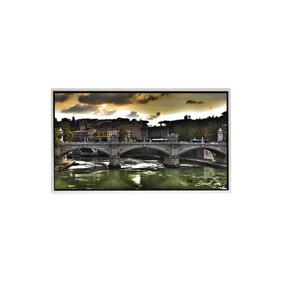 Bon prix Moniteurs LCD de 23,6 pouces HM236WU3-110 1920*1080 TFT Affichage à écran LCD en ligne