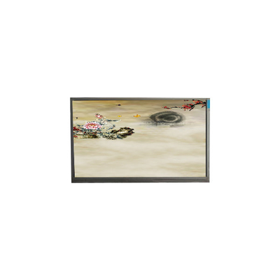 Bon prix P236MWF2 R0 Écran TFT-LCD de 1920*1080 de 23,6 pouces en ligne