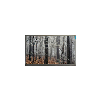 Bon prix MT200LW01 V.0 20,0 pouces affichage LCD à 30 broches en ligne