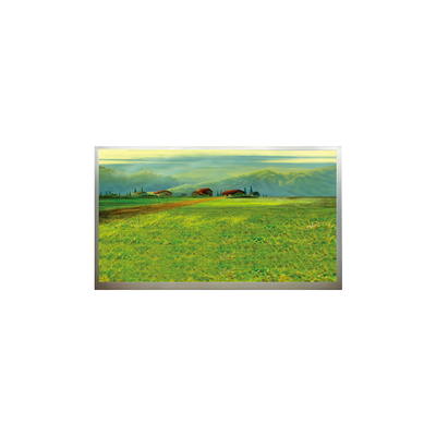 Bon prix N173H6-L04 1920*1080 Panneau LCD de 17,3 pouces en ligne