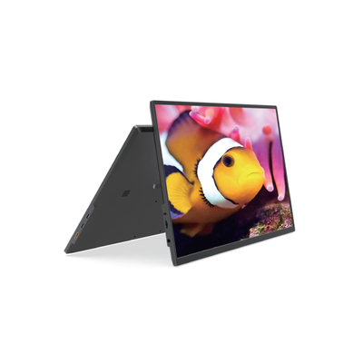 Bon prix Moniteur portable FHD 17,3