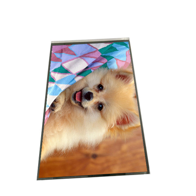 Bon prix AUO 8,0 affichage B080EAK02.2 de l'affichage à cristaux liquides 800×1280 TFT LCD de pouce en ligne