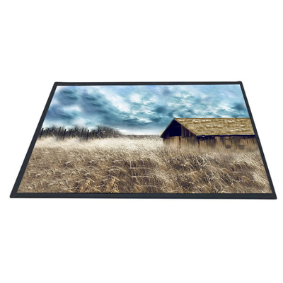 Bon prix Écran de panneau de pouce B101XAN01.2 1366x768 TFT LCD d'AUO 10,1 en ligne